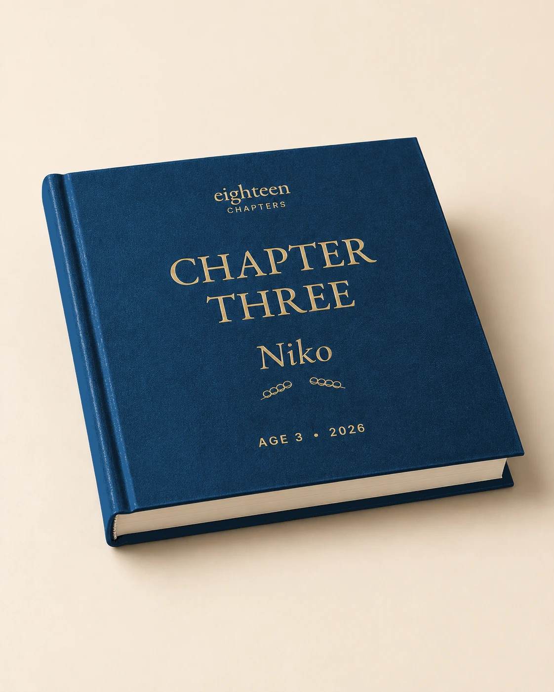 Heritage Navy Annual Chapter cover concept